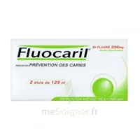 Fluocaril Bi-fluoré 250 Mg Pâte Dentifrice Menthe 2t/125ml à NAVENNE